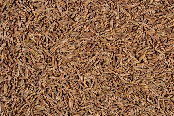 Cumin seeds background — Stock Photo, Image