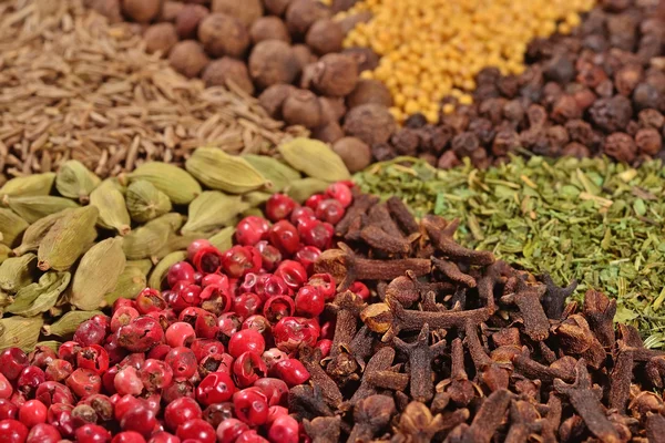 Heap of various kinds of spices — Stock Photo, Image