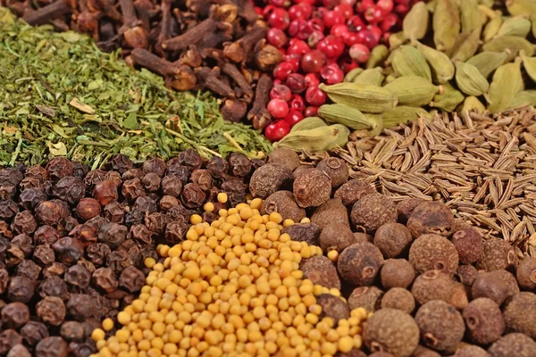 Heap of different spices — Stock Photo, Image