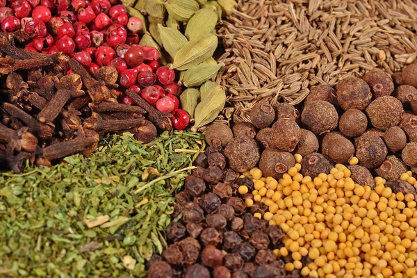 Heap of various kinds of spices — Stock Photo, Image