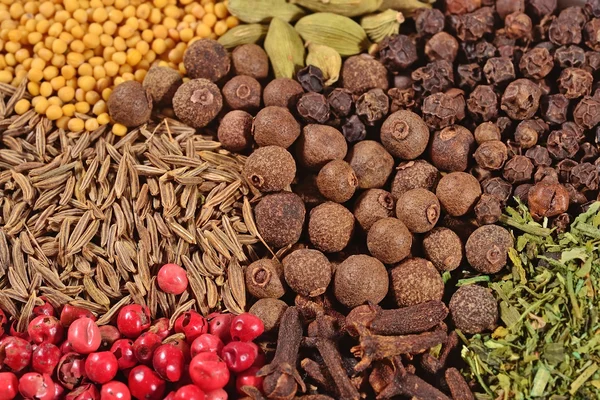 Heap of different dry spices — Stock Photo, Image