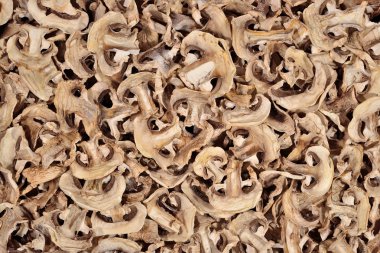 Dried mushrooms background clipart