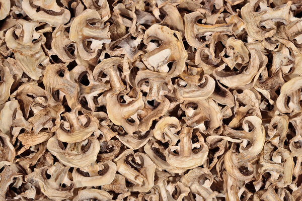 Dried mushrooms background