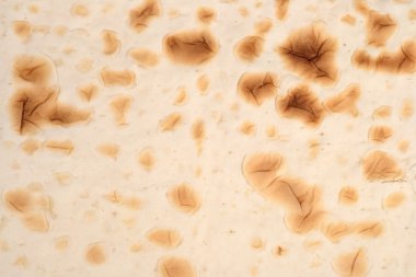 Pita ekmeği arka plan