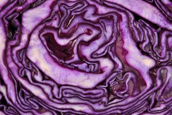 Sliced red cabbage close up — Stock Photo, Image