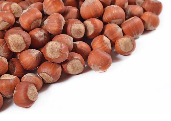 Heap of hazelnuts on a white — Stock Photo, Image