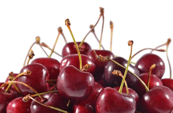 Red cherries close up on a white — Stok Foto