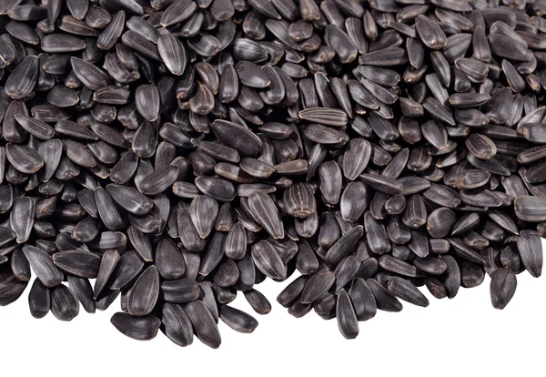 Куча черных семян подсолнуха на белом — стоковое фото