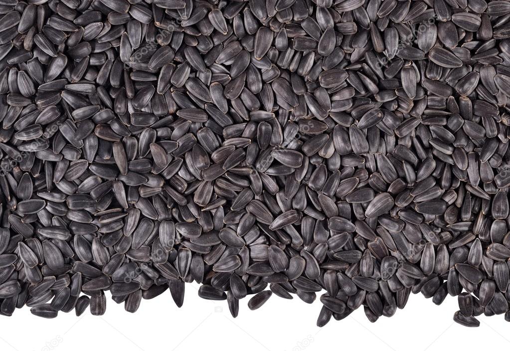 семечки белые соленые ciko. полосатые семечки подсолнуха. семечки чико белые соленые. подсолнечные семечки полосатые. семечки крупные полосатые.