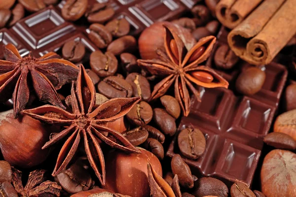 Kaffe, choklad, stjärnanis, hasselnötter och kanel pinnar clo — Stockfoto