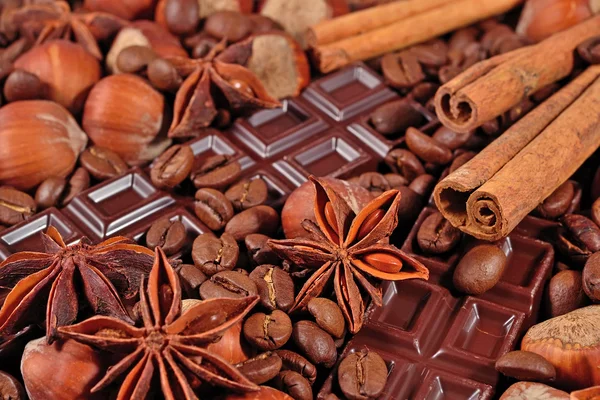 Kaffe, choklad, stjärnanis, hasselnötter och kanel pinnar clo — Stockfoto