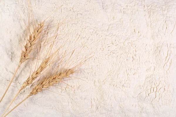 Orejas de trigo sobre una harina blanca —  Fotos de Stock