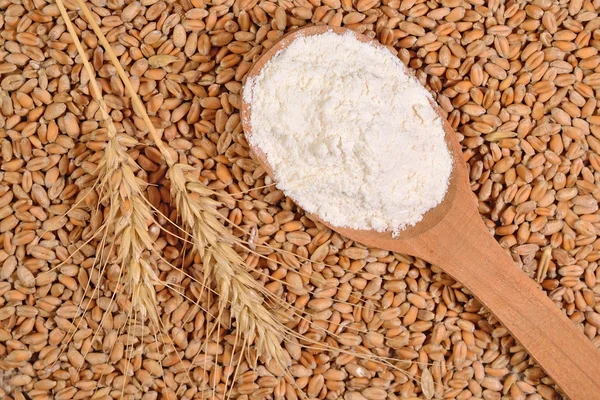 Farine blanche dans une cuillère en bois et épis de blé sur un grain de blé — Photo