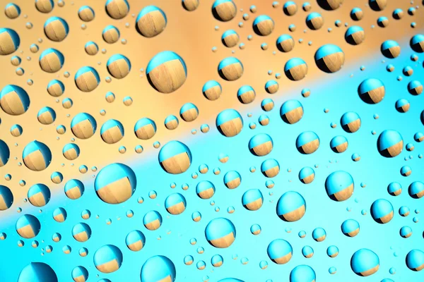 Water drops on colored background. Selective focus. — Stock Photo, Image