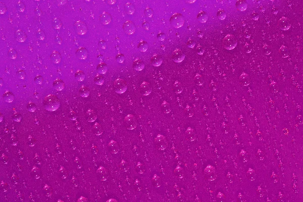 Gotas de agua sobre fondo rosa —  Fotos de Stock