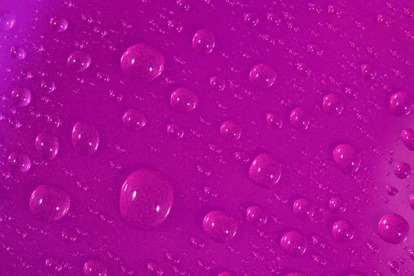 Water drops on pink background — Stock Photo, Image