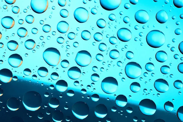 Water drops on blue background — Stock Photo, Image