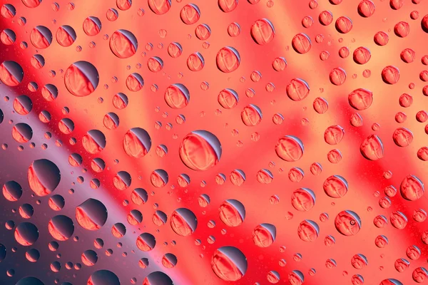 Waterdruppels op rode achtergrond — Stockfoto