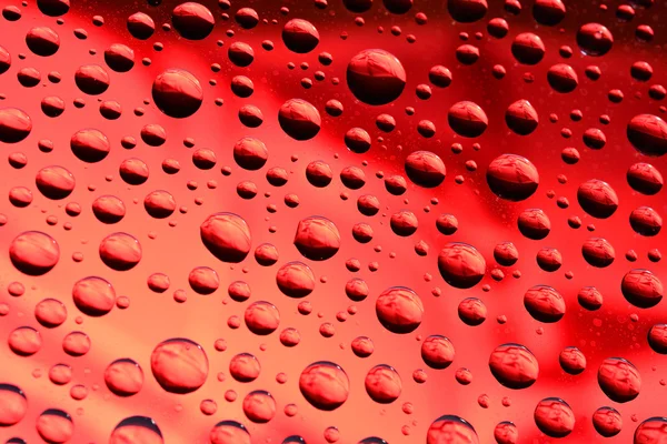 Gotas de agua sobre fondo rojo — Foto de Stock