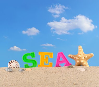 Bir sahil kumu deniz harfler