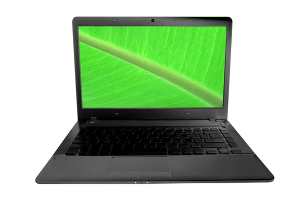 打开笔记本电脑在白色背景上孤立的屏幕上显示绿色的香蕉叶 — 图库照片
