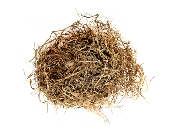 Real empty bird nest on white — Stock Photo, Image