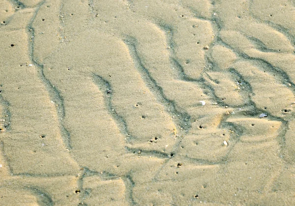 Wet sand beach texture background — Stock Photo, Image