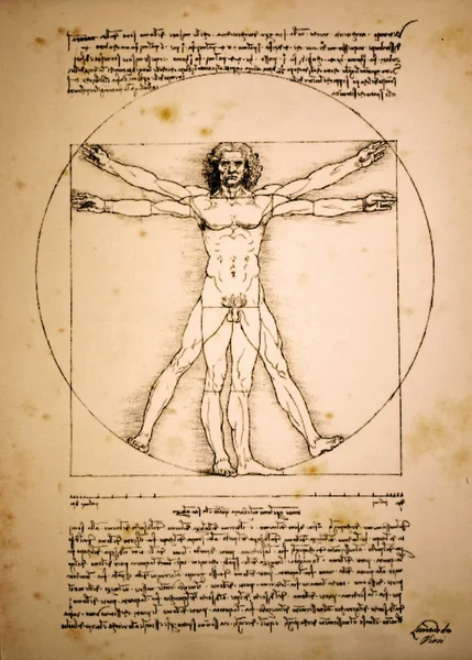 Vitruvian man of Leonardo Da Vinci — Stock Photo, Image