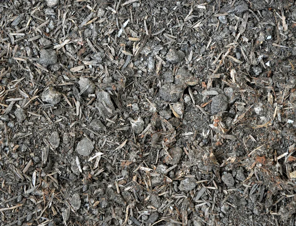 Toprak doku detayları ile.