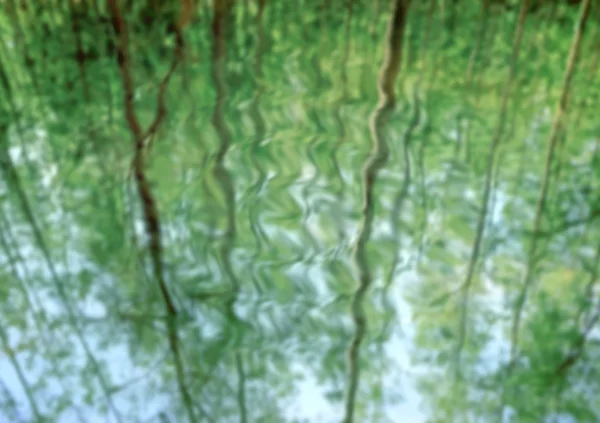 在泉水上模糊树反射。自然背景. — 图库照片