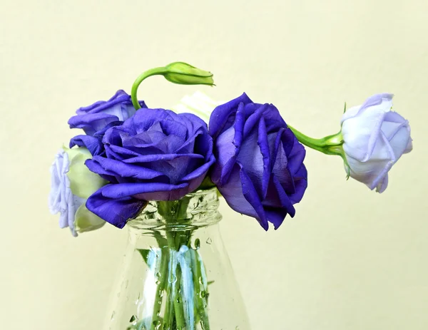 ガラスの花瓶の花バラをクローズ アップ. — ストック写真