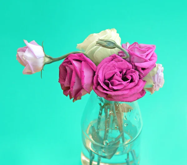 Flor rosas em vaso de vidro de perto . — Fotografia de Stock