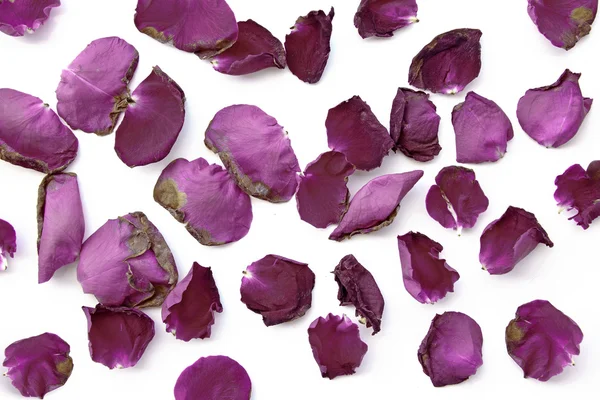 Dried purple roses background — Stock Photo, Image