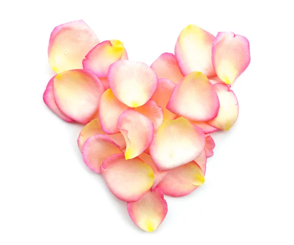 Corazón de pétalos de rosa sobre fondo blanco — Foto de Stock