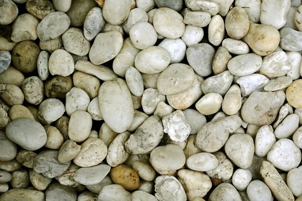 Kuru yuvarlak reeble taşları — Stok fotoğraf