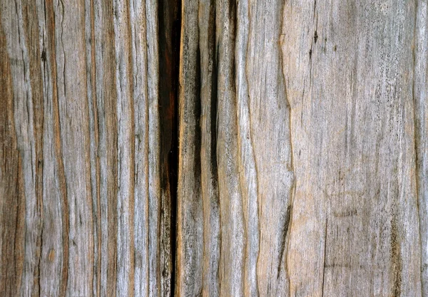 Textura de madera vieja de cerca —  Fotos de Stock