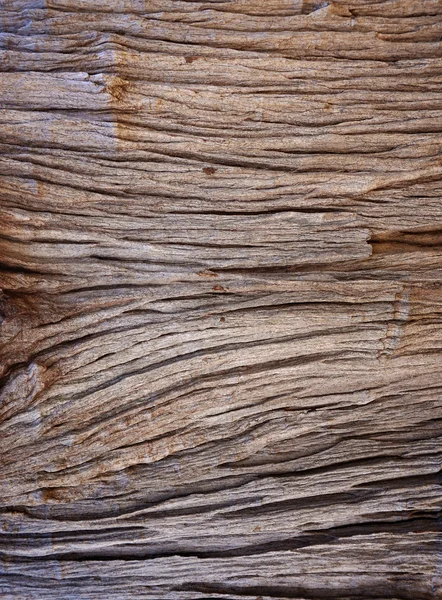 Struttura in legno naturale — Foto Stock