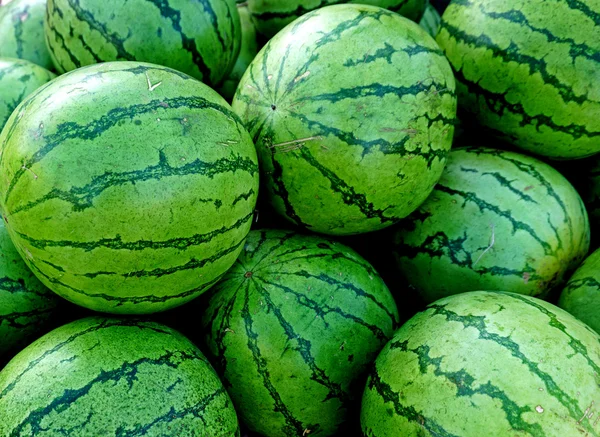 Sok nagy édes zöld görögdinnye — Stock Fotó