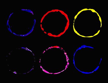 Renkler daireler siyah arka plan üzerine boyalı