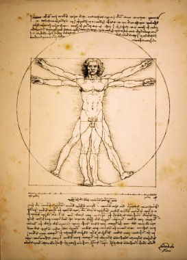 leonardo da Vinci'nin Vitruvius Adamı