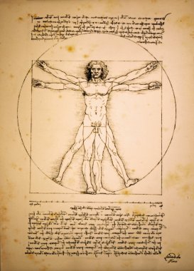 Vitruvian man of Leonardo Da Vinci clipart