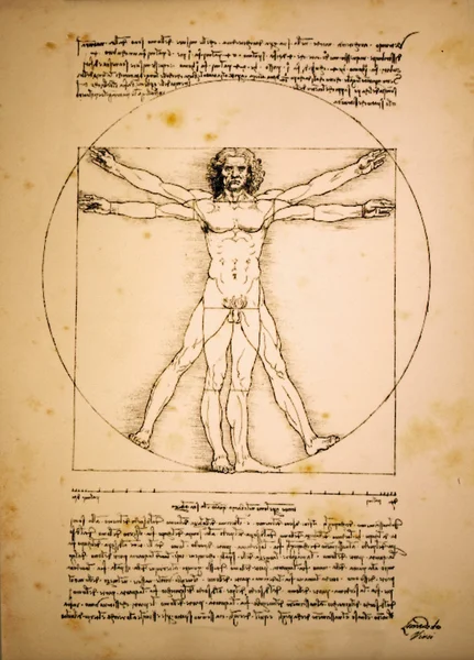 Leonardo da Vinci'nin Vitruvius Adamı — Stok fotoğraf