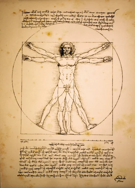 Hombre vitruviano de Leonardo Da Vinci Imágenes de stock libres de derechos