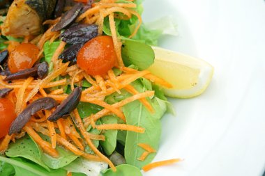 taze salata domates, salatalık ve yeşillik ile