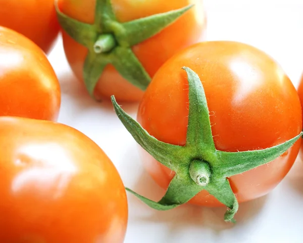 Färska röda våta tomater — Stockfoto