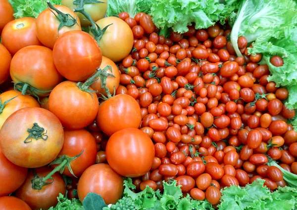 Fresh tomatoes and lettuce at market — Stock Photo, Image