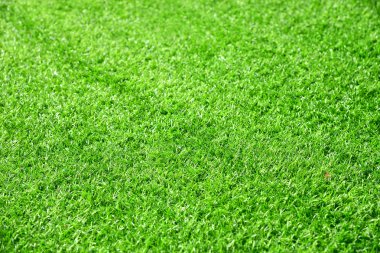 Golf sahasından güzel yeşil çimen dokusu