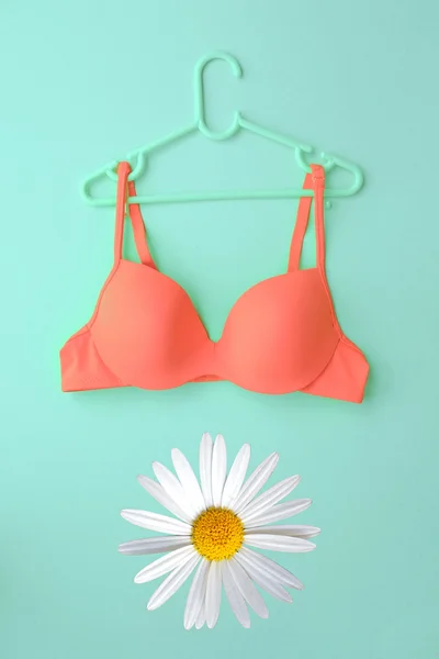 Spring concept, Bra on hanger with white daisy flower on blue background. — Stock Photo, Image