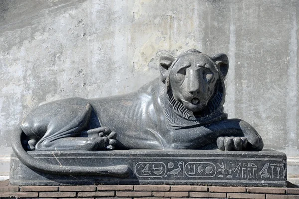 Patung singa marmer hitam terletak di Museum Vatikan . — Stok Foto