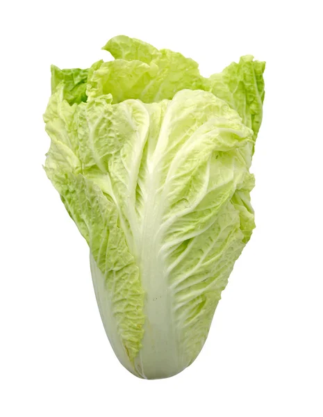 Chinese cabbage isolate on a white background (clipping path) — Stock Photo, Image